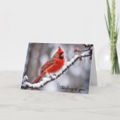 Kardinaal op de wintertak denken aan u kaart (Voorkant)