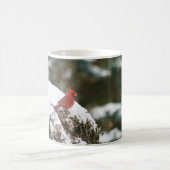 Kardinaal op een besneeuwde Struik Koffiemok (Center)