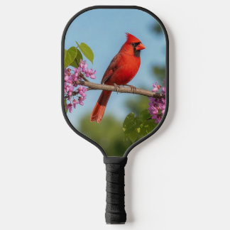Kardinaal op een Cercis tak Pickleball Paddle