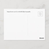 Kardinaal op een cholla briefkaart (Achterkant)
