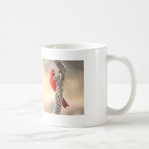Kardinaal op een Cholla Koffiemok