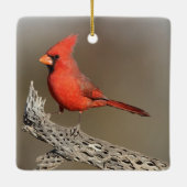 Kardinaal op een cholla rib keramisch ornament (Achterkant)