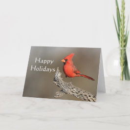 Kardinaal op een cholla rib Prettige feestdagen