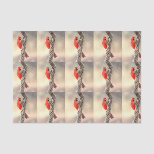 Kardinaal op een Cholla Tissuepapier (Voorkant)