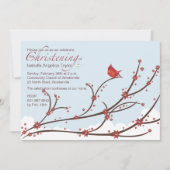 Kardinaal op een Religieuze Uitnodiging van de Tak (Voorkant)