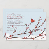 Kardinaal op een Religieuze Uitnodiging van de Tak (Voorkant / Achterkant)