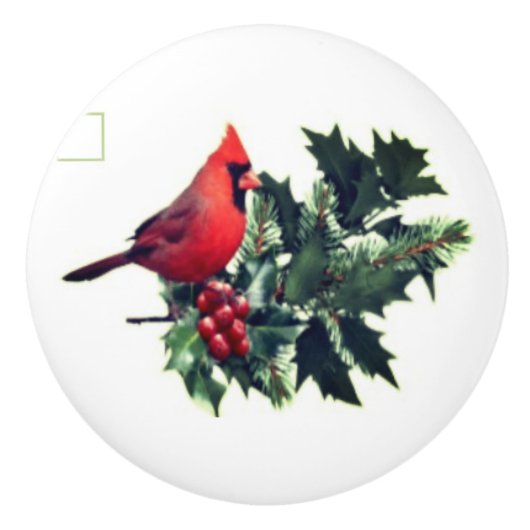 Kardinaal op Holly Ceramic Pull Keramische Knop (Voorkant)