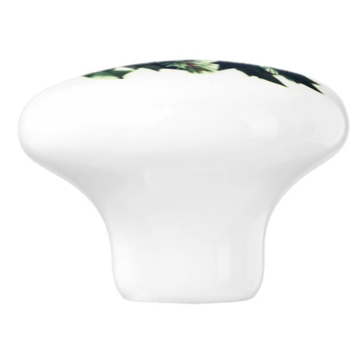 Kardinaal op Holly Ceramic Pull Keramische Knop (Zijkant)