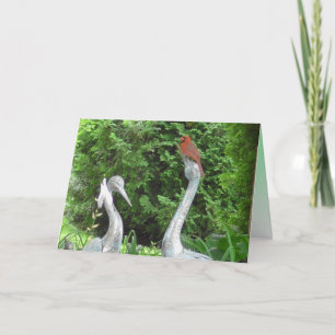 Kardinaal op Pelicans Blank Kaart