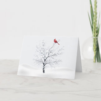 Kardinaal op Snowy Tree Christmas Kaart