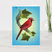 Kardinaal op vertakking met Ivy Leaves Kaart (Voorkant)