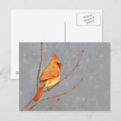 Kardinaal op vertakkingen - Oorspronkelijke vogelk Briefkaart (Voorkant / Achterkant)