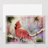 Kardinaal op wintertak budget Kerstmis Feestdagenkaart (Voorkant / Achterkant)