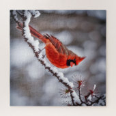 Kardinaal op wintertak legpuzzel (Horizontaal)