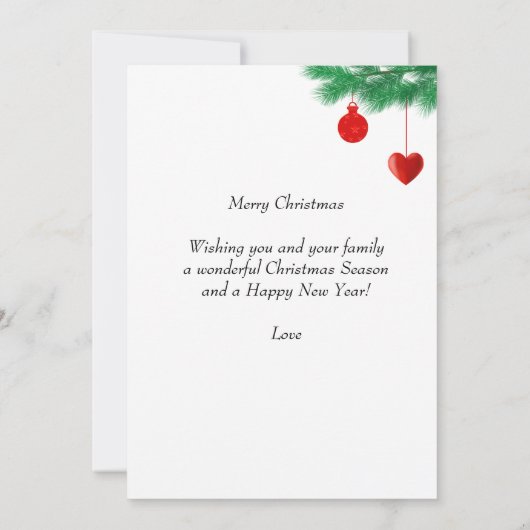 Kardinaal op Zwarte en Rode Vakantie (Achterkant)