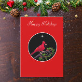 Kardinaal op Zwarte en Rode Vakantie