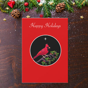 Kardinaal op Zwarte en Rode Vakantie