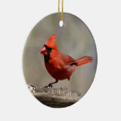 Kardinaal ornament (Rechts)
