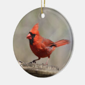 Kardinaal ornament (Links)