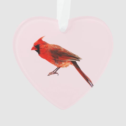 Kardinaal Ornament (achterkant)