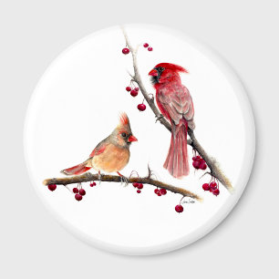 Kardinaal paar Berry Branches Magneet