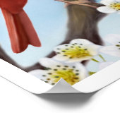 Kardinaal paar in Apple Blossom Print (Hoek)