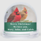 Kardinaal Paar In Pine Tree Winter Groeten Custom Sneeuwbol (Achterkant)