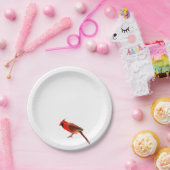 Kardinaal Papieren Bordje (Feest)