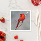 kardinaal-papieren servet (Insitu)