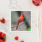 kardinaal-papieren servet (Insitu)