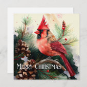Kardinaal Perched in Evergreen Tree met Pinecones Feestdagenkaart (Voorkant / Achterkant)