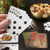 Kardinaal  pokerkaarten (Insitu)