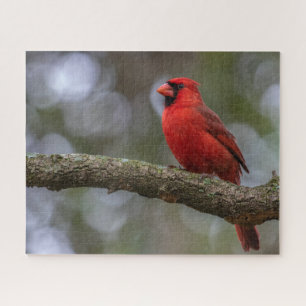 Kardinaal portret legpuzzel