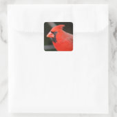 Kardinaal Portret - Vogel Vierkante Sticker (Tas)