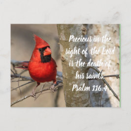 Kardinaal Post Kaart Psalm 116:15