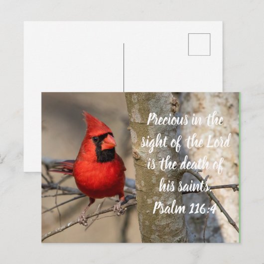 Kardinaal Post Kaart Psalm 116:15 (Voorkant / Achterkant)
