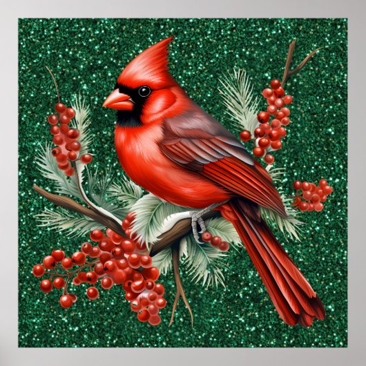 Kardinaal Poster (Voorkant)