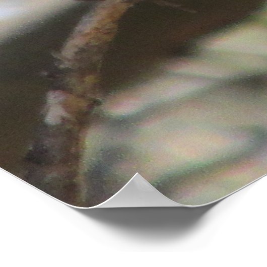 Kardinaal Poster (Hoek)