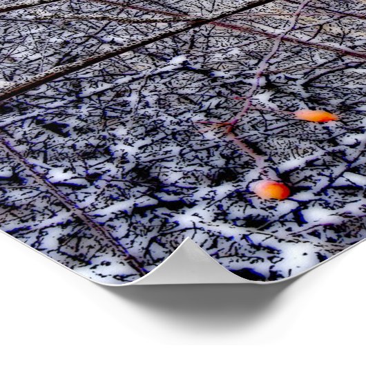 Kardinaal Poster (Hoek)