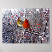 Kardinaal Poster (Voorkant)