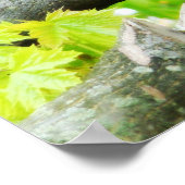 Kardinaal Poster (Hoek)