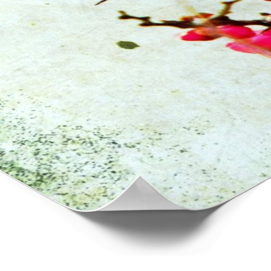 Kardinaal Poster (Hoek)