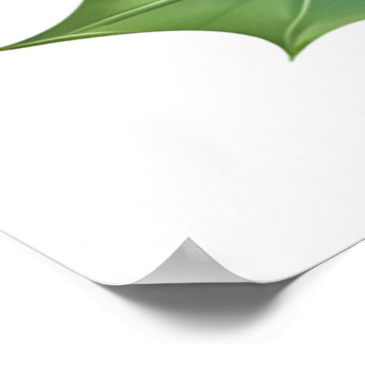 Kardinaal Poster (Hoek)