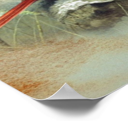 Kardinaal Poster (Hoek)