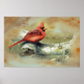 Kardinaal Poster (Voorkant)