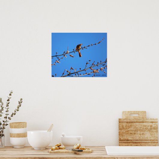 Kardinaal Poster (Keuken)