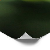 Kardinaal Poster (Hoek)