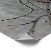 Kardinaal Poster (Hoek)