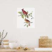 Kardinaal Poster van Audubon (Keuken)