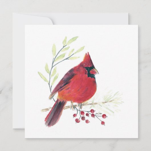 Kardinaal Red Bird Art (Voorkant)